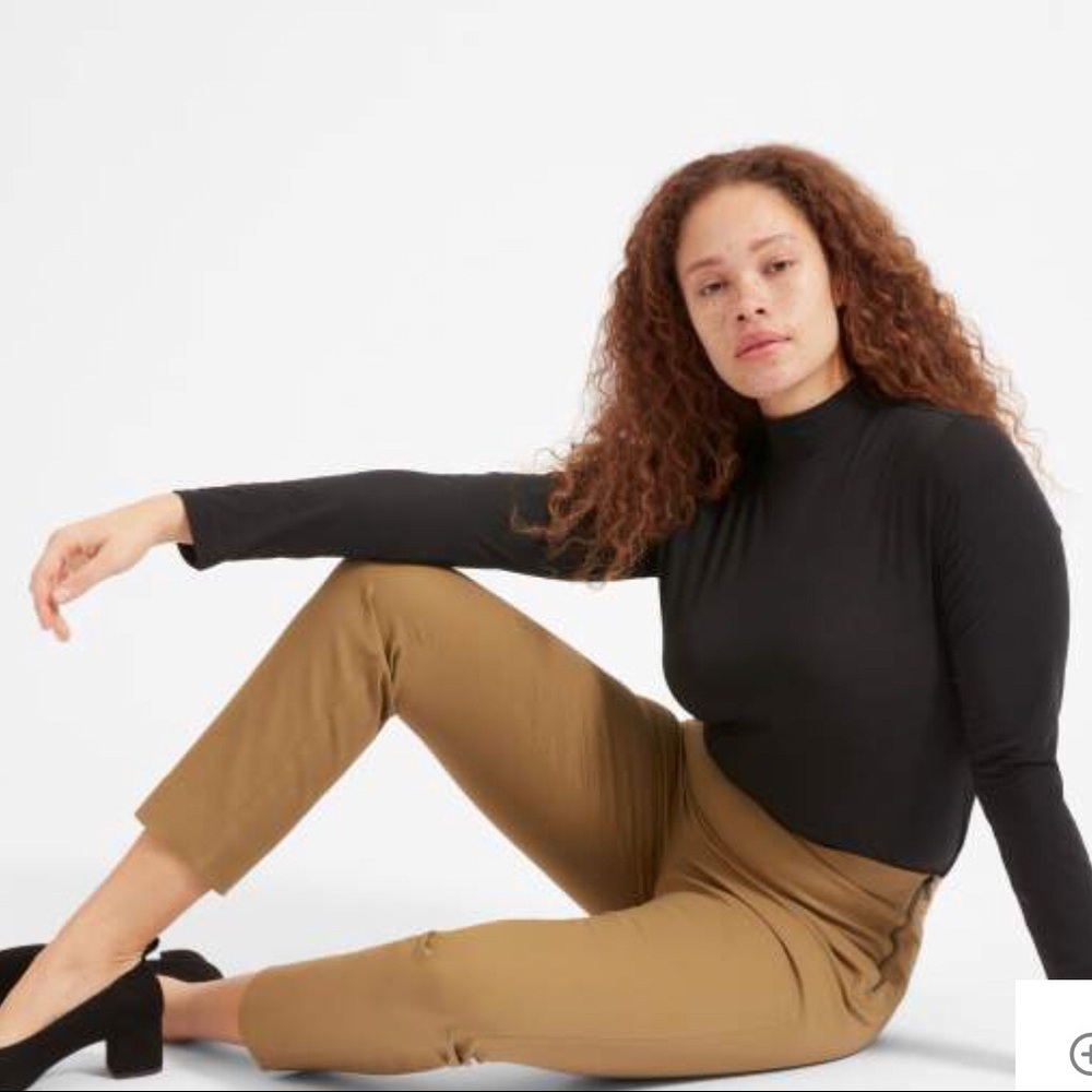 Everlane The Side Zip Work Pant Size 10